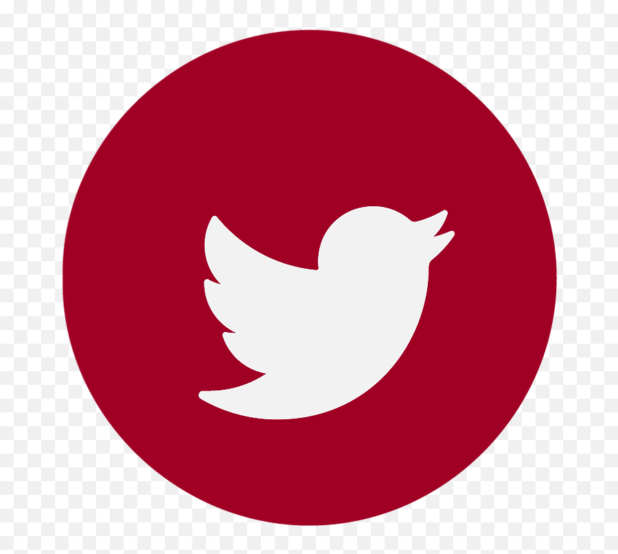 Mike Mowery Strategic Government Resources Tx - Logo New Twitter Png,Free Twitter Icon