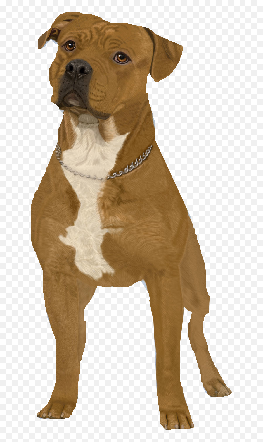 Pit Bull Clipart - Collar Png,Pit Bull Icon