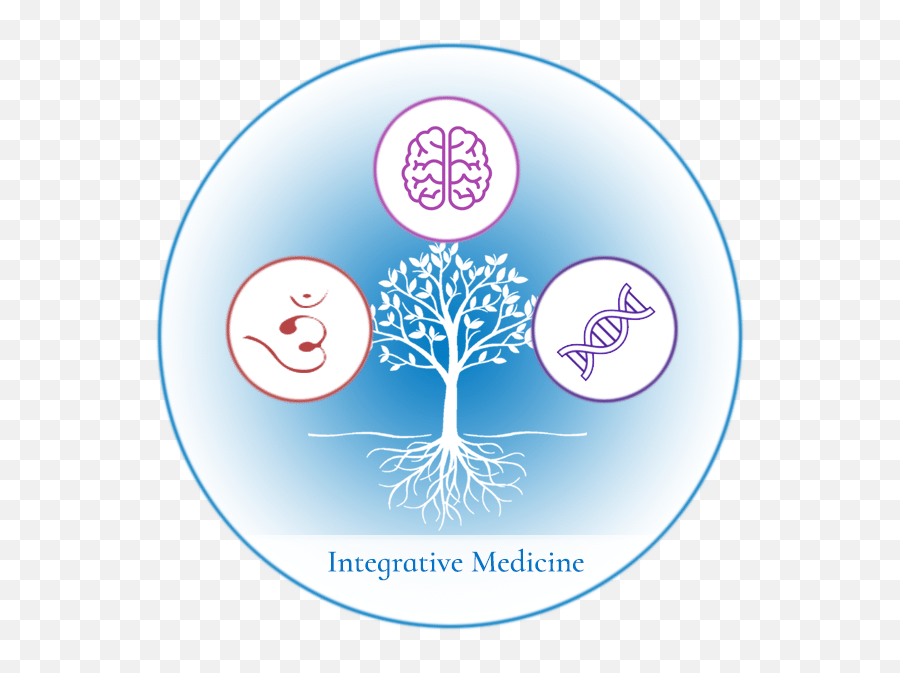 Functional Medicine In Boulder Colorado Holistic - Language Png,Functional Medicine Icon