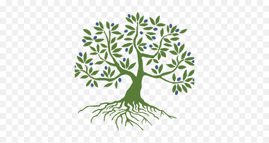 Initiative Transparent Png Image - Olive Tree With Roots,Olive Tree Png