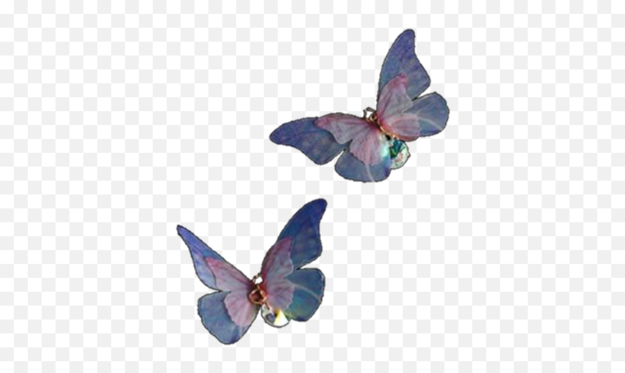 Butterfly Aesthetic Purple Lila Png Niche Soft Cute Gru - Butterfly Aesthetic Png,Purple Butterfly Png