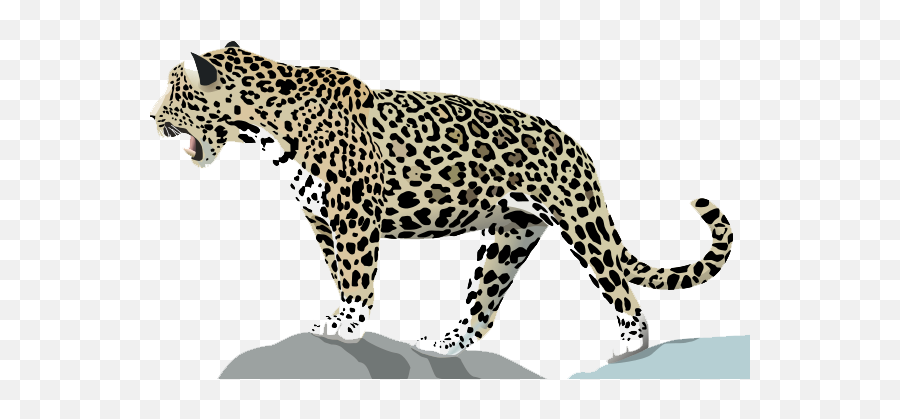 Download Jaguar Png Photo - Cartoon Jaguar Png,Jaguar Png