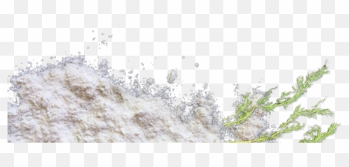 Flour Icon Png - Flour Background Png,Flour Png