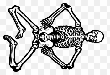 Skeleton Dead Skull - Cartoon Skeletons Clipart png