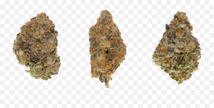Highbrow Craft Cannabis - Igneous Rock Png,Marijuana Png