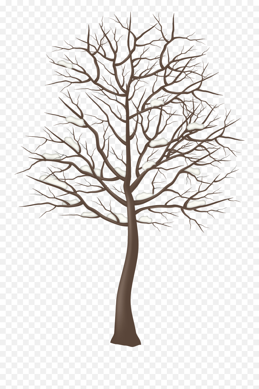 Woods Clipart Snowy - Transparent Winter Tree Clipart Png,Cartoon Tree Transparent Background