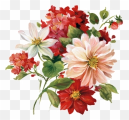 Download Free Png Floral Picture - Flower Image Png,Florals Png