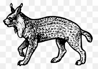 Lynx - Traceable Heraldic Art Chinese Symbol Of Death Png,Lynx Png