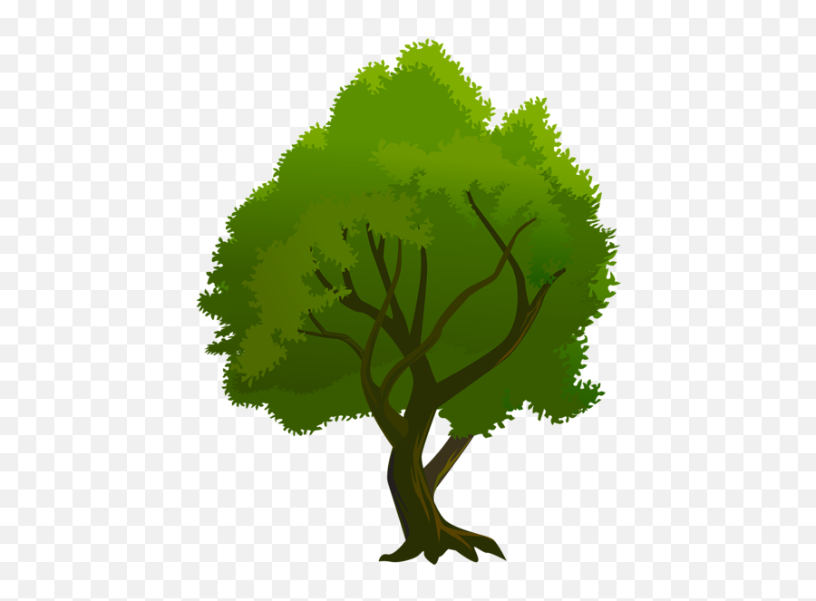 Tree Png - Para Firmas De Correo,Tree Graphic Png