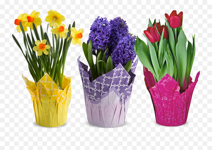 Real Flower Png - Bouquet,Real Flower Png