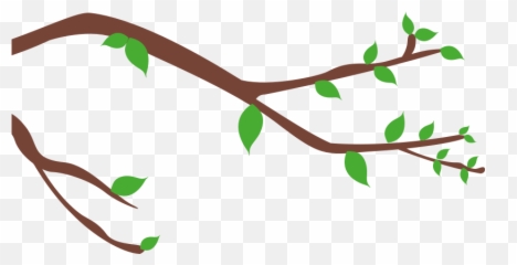 Tree - Twig Clipart Full Size 3286473 PinClipart png