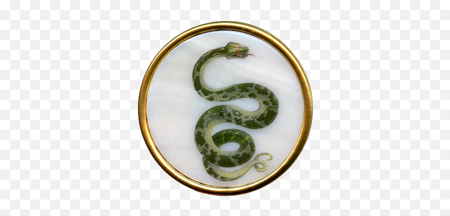 Green Snake - Serpent Png,Green Snake Png