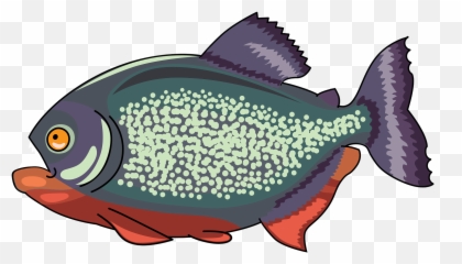 Piranha Clipart Free Download Creazilla - Piranha Clipart Png,Piranha Png