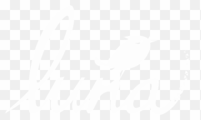 Press Kit Luna Png