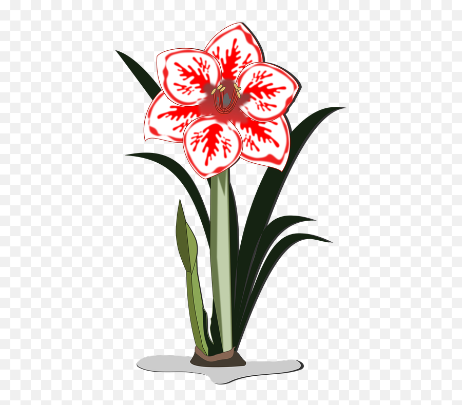 Png Images Pngs Icons Clipart Icon - Amaryllis Flower Vector Png,Plant Icon Image Clip Art