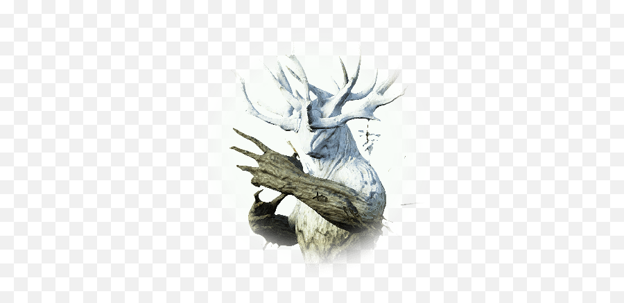 Forest Ronaros Scout - Bdo Codex Png,Witch Mercy Icon
