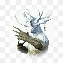 Forest Ronaros Scout - BDO Codex png