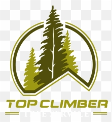 Logo Design - Tree Service png