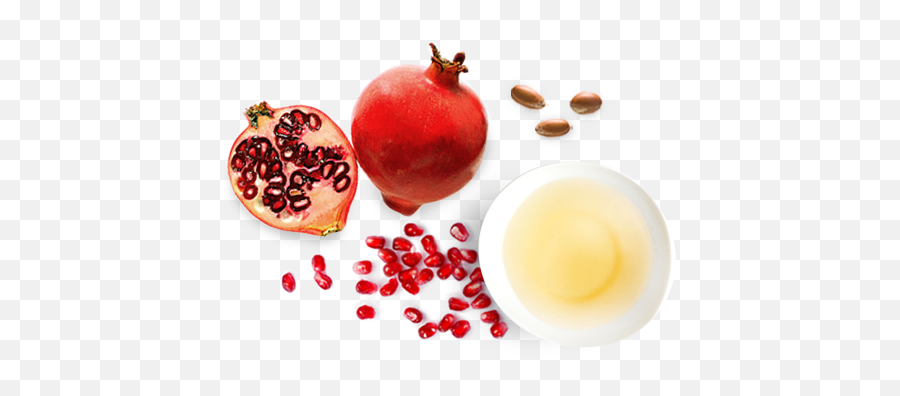 Argan Grapeseed - Pomegranate Png,Pomegranate Transparent