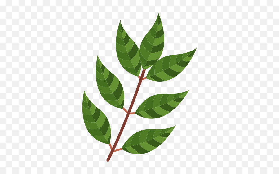 Curry - Free Nature Icons Mahogany Png,Curry Icon
