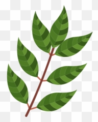 Curry - Free nature icons Mahogany png