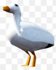 Seagull Deep Sea Fishing Runescape Wiki Fandom - Duck Png,Seagull Png