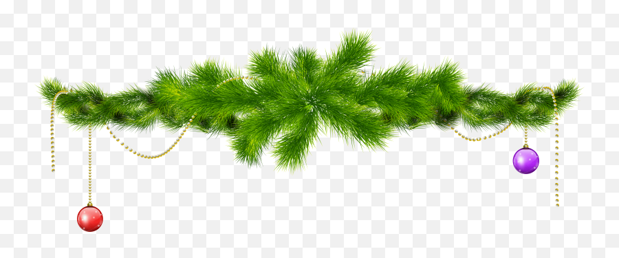 Download Christmas Holly Png Images Free Branch - Christmas Tree Branches Png,Christmas Holly Png