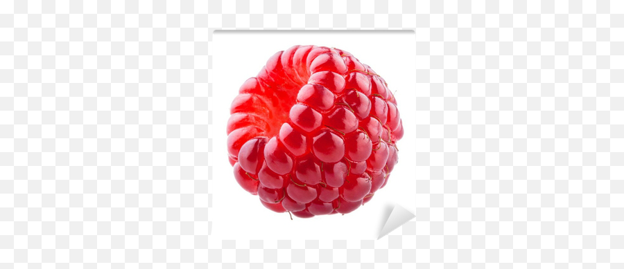Wall Mural Raspberry Isolated - Pixershk Raspberry With A White Background Png,Raspberry Icon