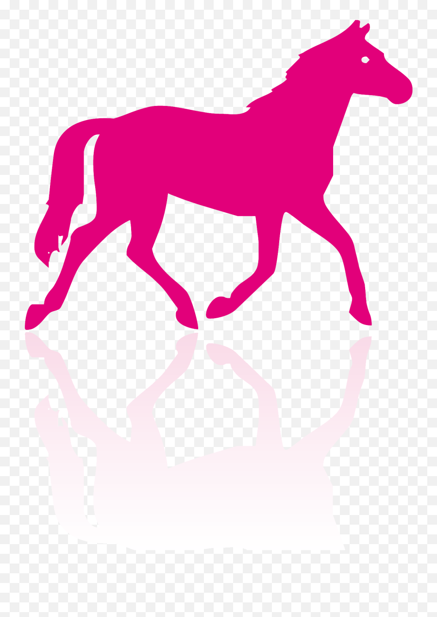 Download Hd Adiavet Equine - Horse Silhouette Transparent H Is For Horse Png,Horse Silhouette Png