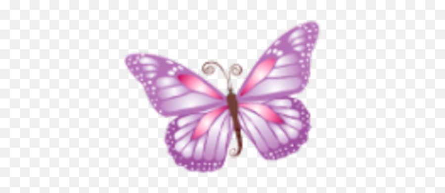 Las Mariposas - Butterfly Icon Png,Purple Butterfly Png