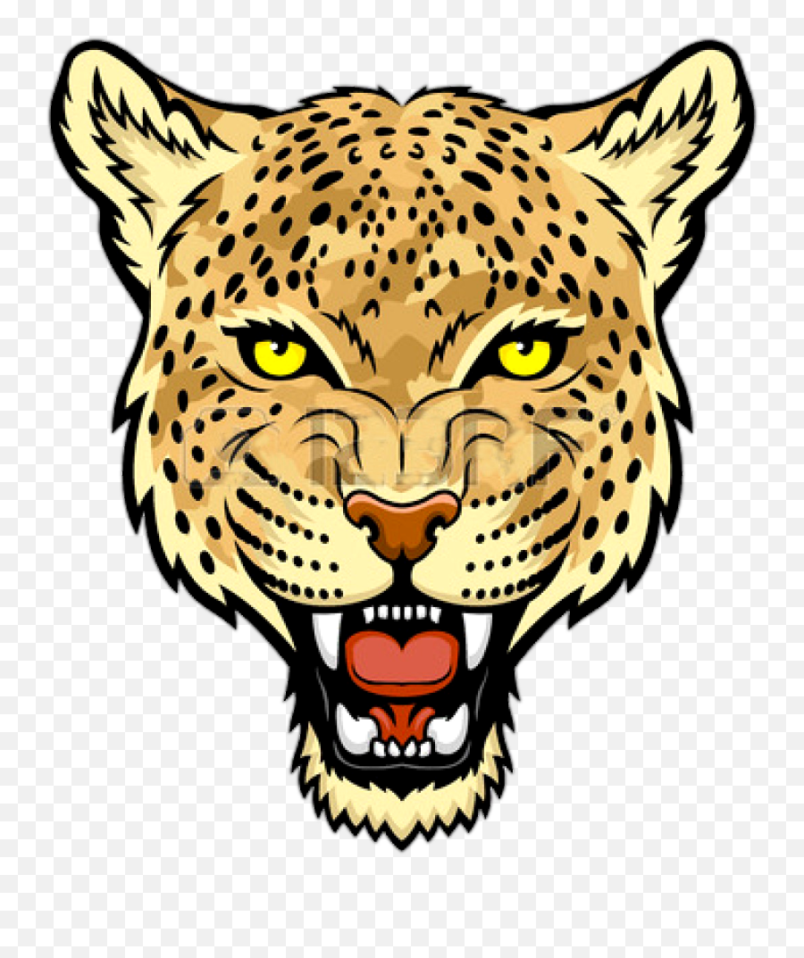 Jaguar Face Png - Leopard Face Drawing,Jaguar Png