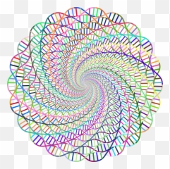 Transparent Dna Rainbow U0026 Png Clipart Free - Nucleic Acid Desktop