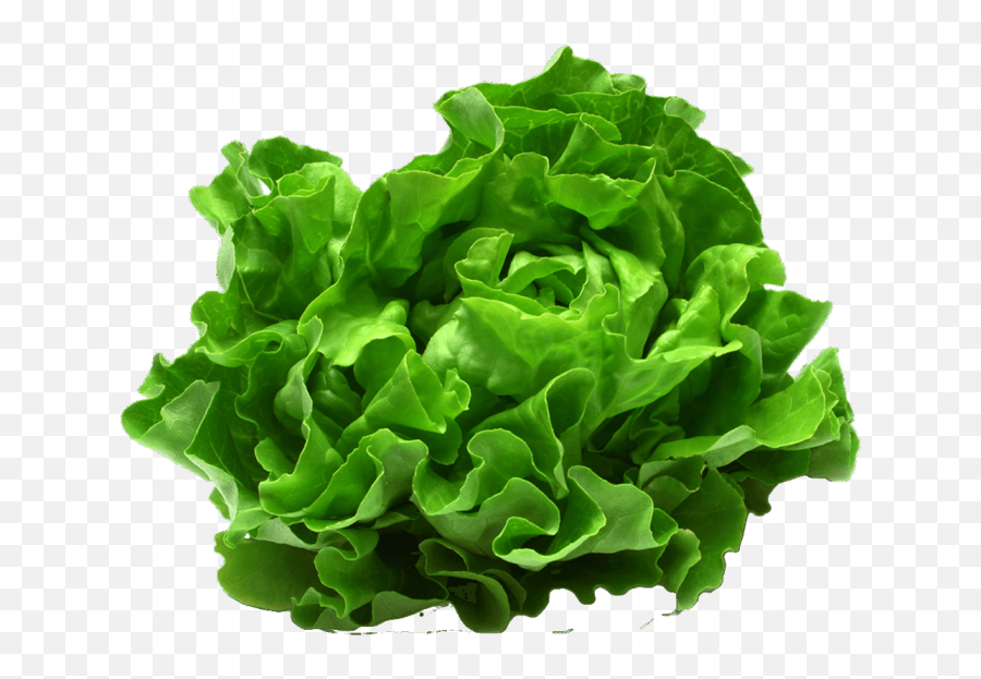 Lettuce Themealdb - Lettuce Eton Png,Lettuce Png