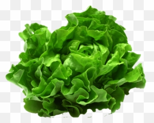 Lettuce Themealdb - Lettuce Eton Png,Lettuce Png