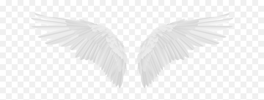 Freetoedit Wings Angel Wing White Love Girl Fly Trend - Angel Wings Png,Angel Wing Transparent