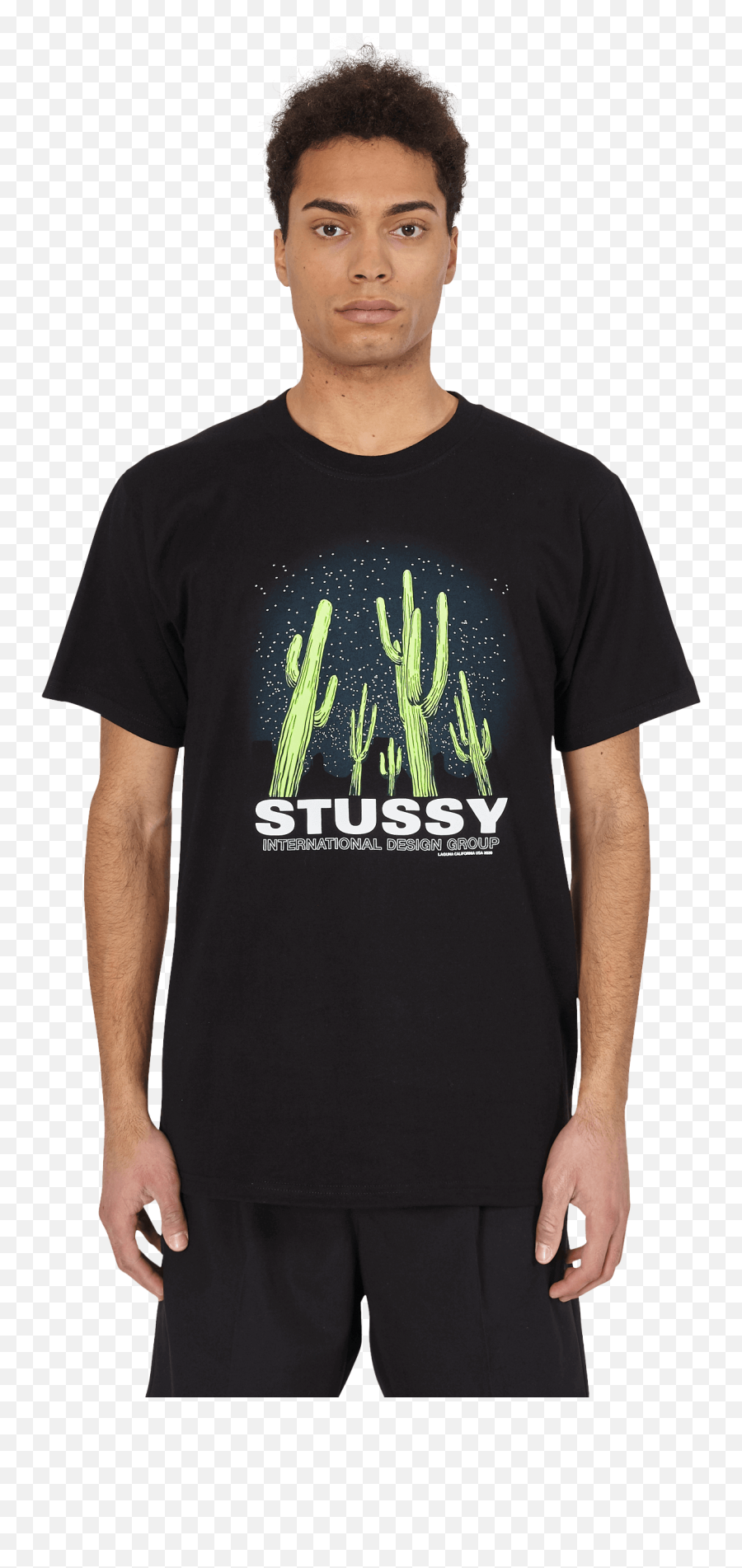 Saguaro T - Shirt Stone Island T Shirt Black Png,Saguaro Png