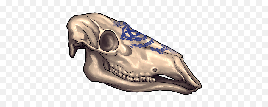 Felvargs - Skull Png,Sombra Skull Png