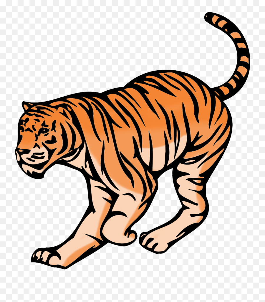 Tiger Clipart - Tiger Png,Tiger Transparent Background