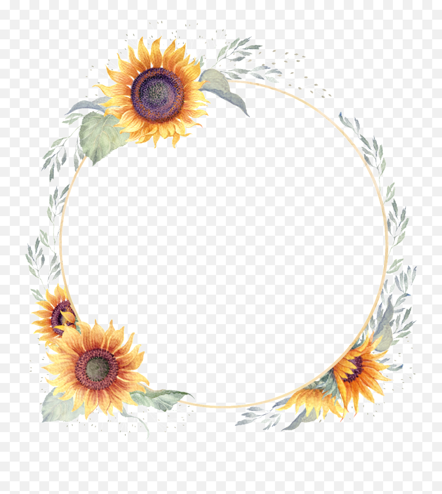 Download Watercolor Hand Painted Sunflower Transparent - Transparent Sunflower Wreath Png,Sunflower Transparent Background