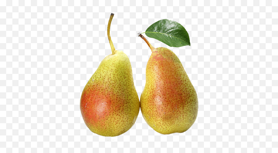 Pear Seasonal 500g - Pear Png,Pears Png