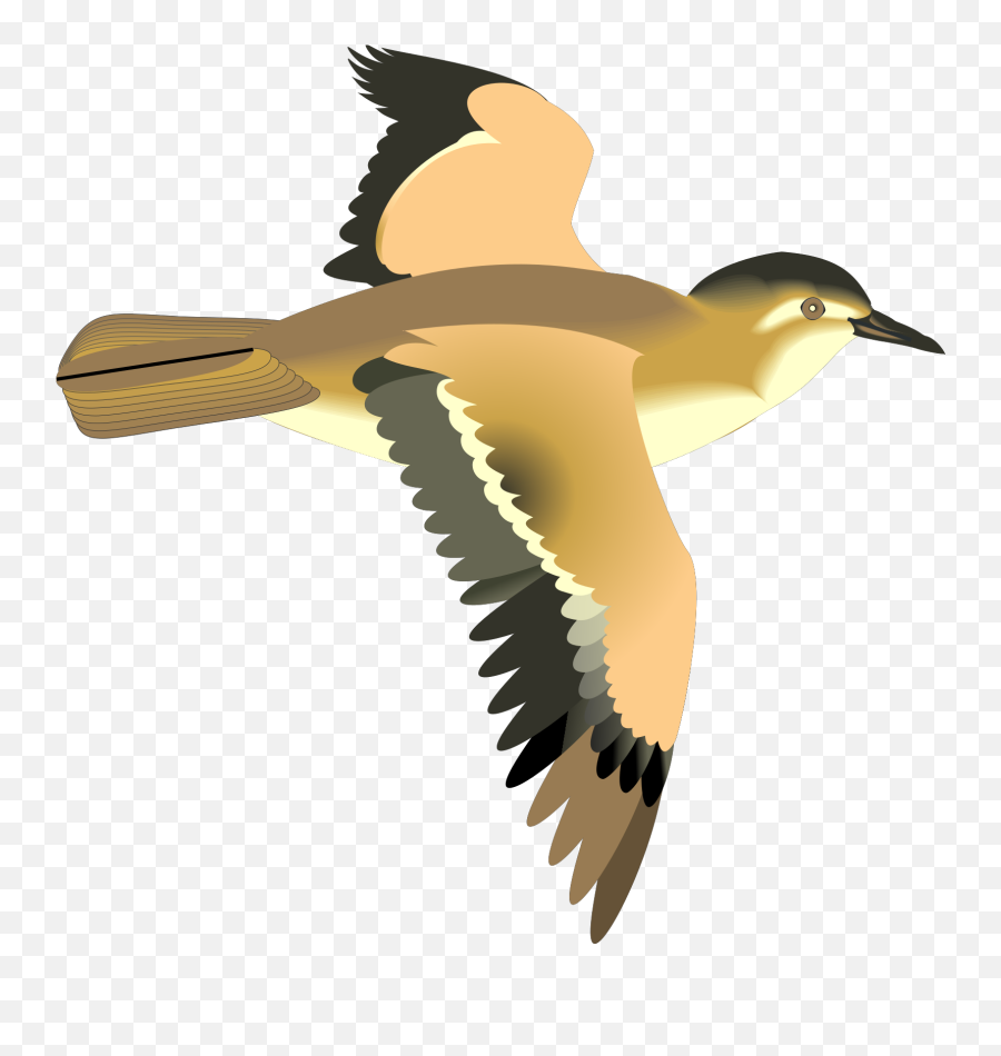 Flying Bird Png Svg Clip Art For Web - Download Clip Art Flying Bird Png Gif,Doves Flying Png