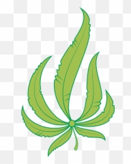 Leaf Clipart - Art png