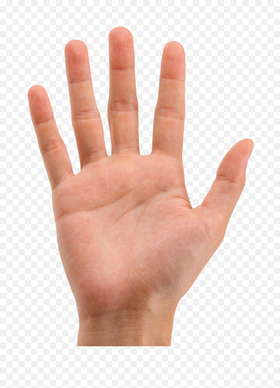 Desktop Wallpaper Hand Computer Icons - Hand With No Background Png,Could Png