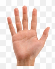 Desktop Wallpaper Hand Computer Icons - Hand With No Background Png,Could Png