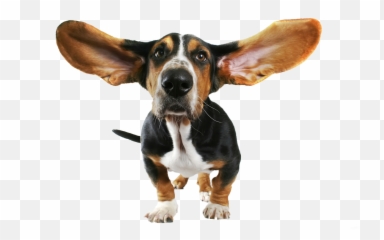 Cute Small Dog With Flying Ears Png - Funny Dog Transparent,Cute Dog Png