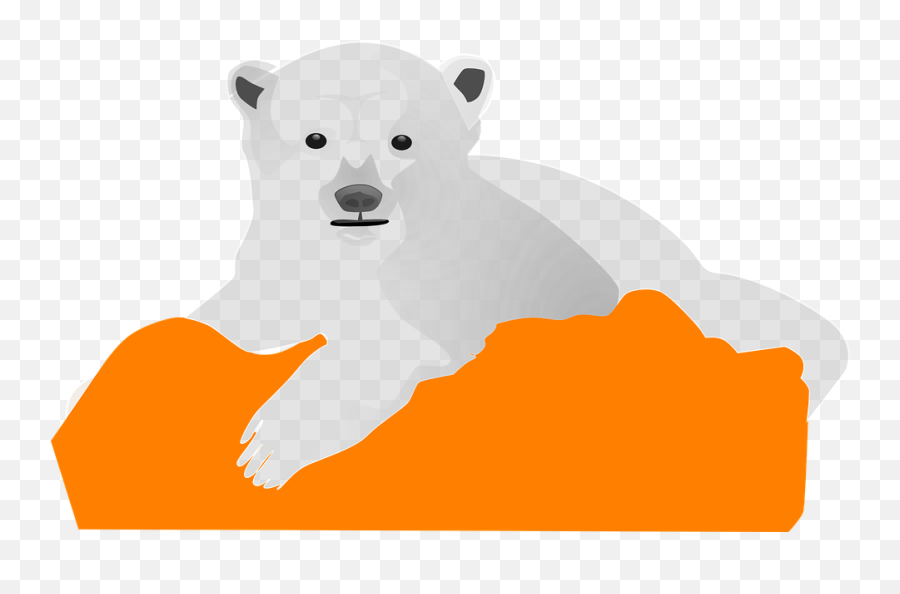 Ice Bear Polar Cold - Polar Bear Clip Art Png,Ice Bear Png