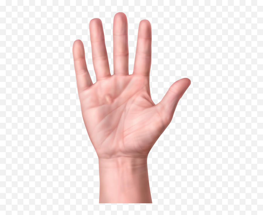 Facts - Contracture Png,Flat Hand Png