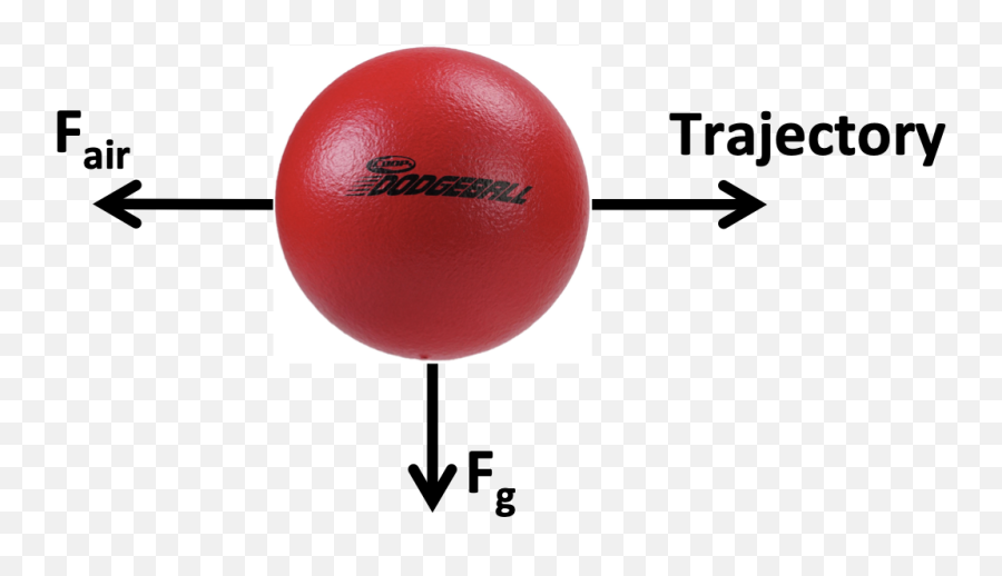 Physics 111 Fundamental I If You Can Dodge A - Solid Png,Dodgeball Png