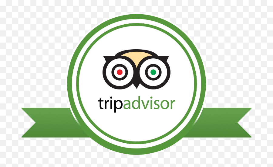 Excellence Png Image With No Background - Tripadvisor Certificate Of Excellence 2019 Png,Tripadvisor Logo Png