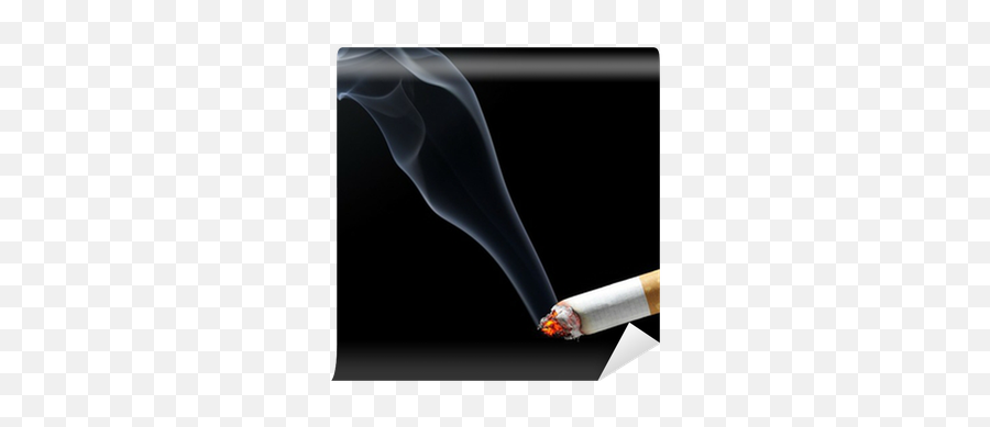 Cigarette Smoke Wall Mural U2022 Pixers - We Live To Change Burning Cigarette Png,Cigarette Smoke Png Transparent